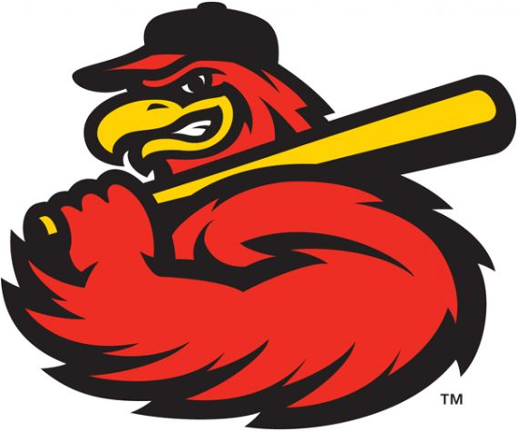 Rochester Red Wings 2014-Pres Alternate Logo iron on heat transfer